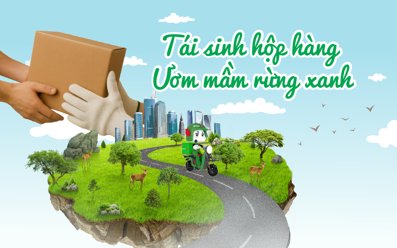 Rebirth of Carton Boxes – Nurturing Green Forests - NETCO POST